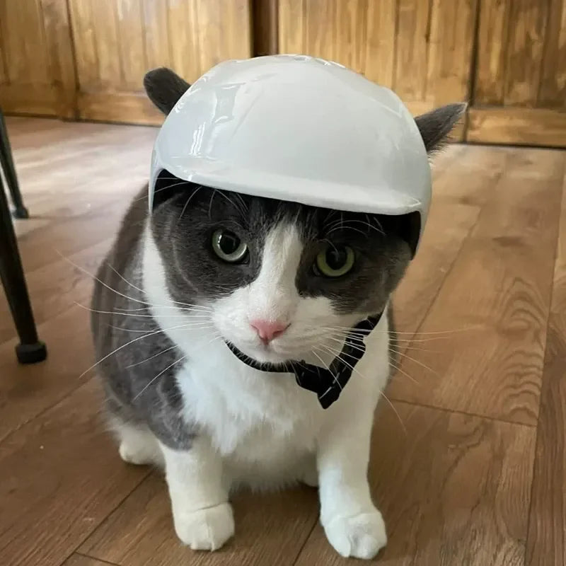 ​​CE Certified Adjustable Pet Helmet with UV Sunglasses for Dogs & Cats - Travel/Bicycle Safety Gear Lightweight Outdoor Protect