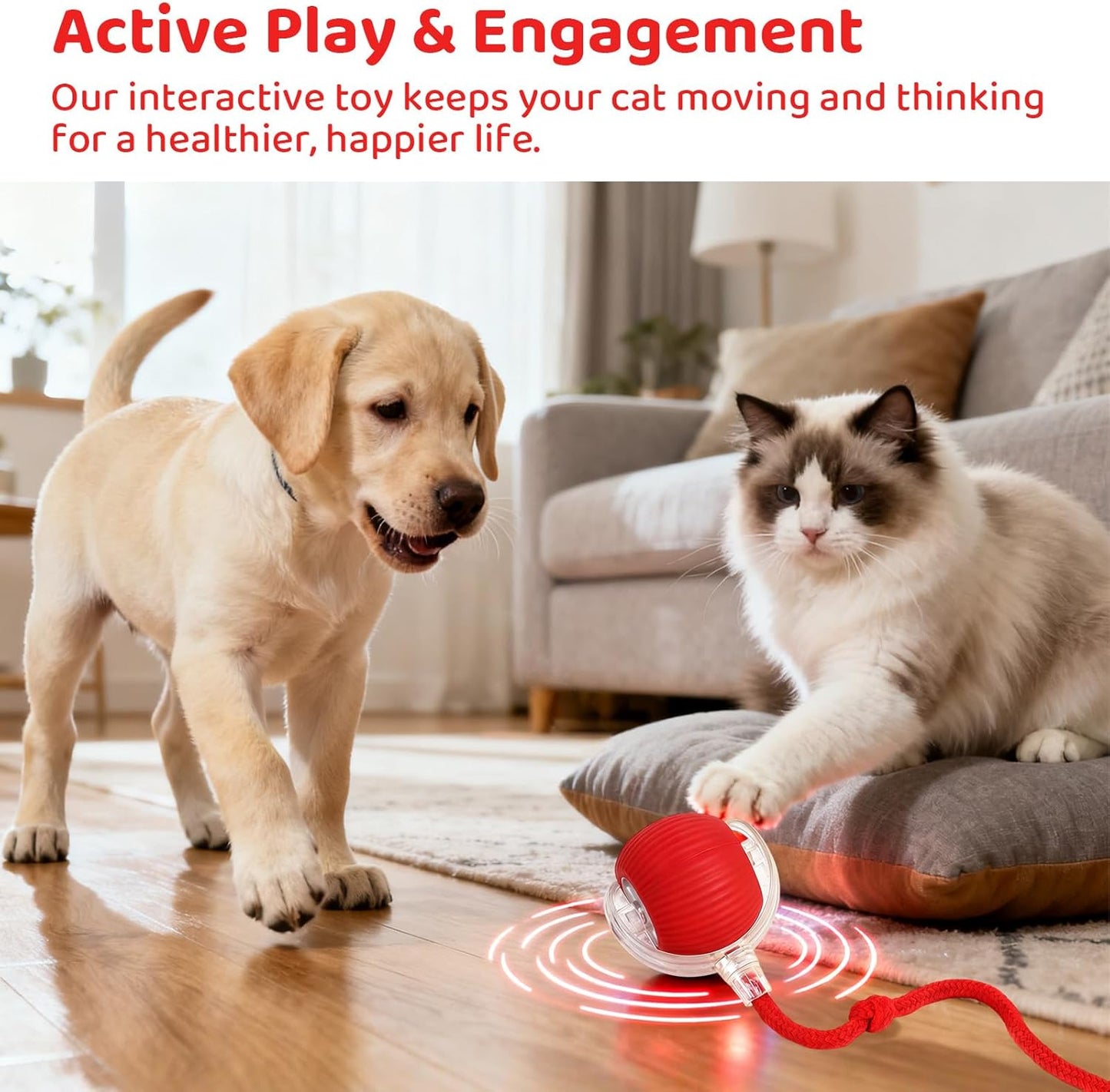 Interactive Pet Toys, Interactive Cat & Dog Toys, Motion Activated Automatic Rol