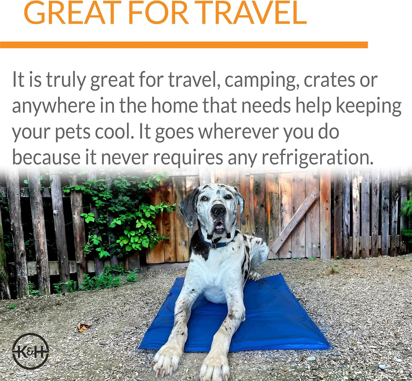 Coolin' Pet Pad Dog Mat, Portable Dog Cooling Mat for Travel or in Home, Perfect for Carriers, Crates, Outdoor Houses, Yards, Porches, Pet Beds & More - Medium 20 X 15In Chill Blue