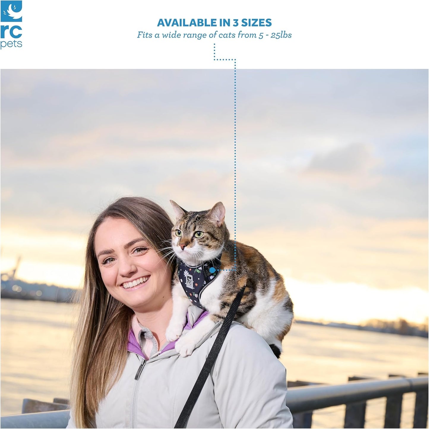 RC Pets Adventure Kitty Cat Harness | Adjustable Airmesh Vest with D-Ring and 6Ft Leash for Walking and Travel | Daisies, Medium