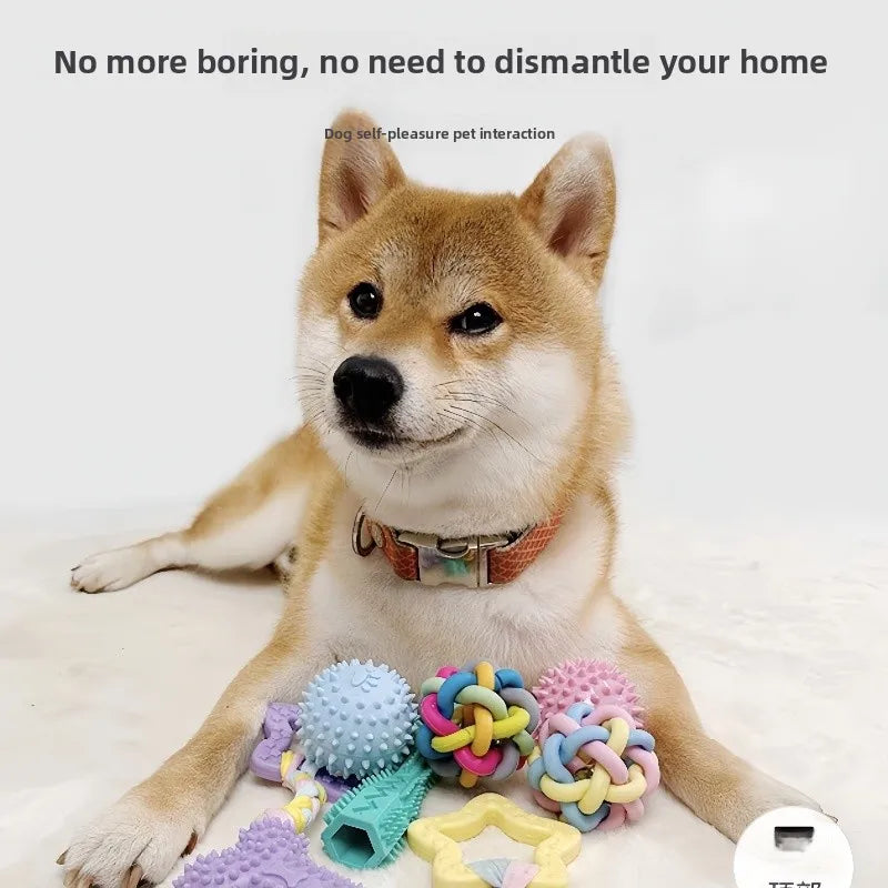 Pet Toys Dog Chewing Ball Toy Interactive Rubber Ball for Small Large Dog Cat Pet Tooth Cleaning Ball Pet Accessories