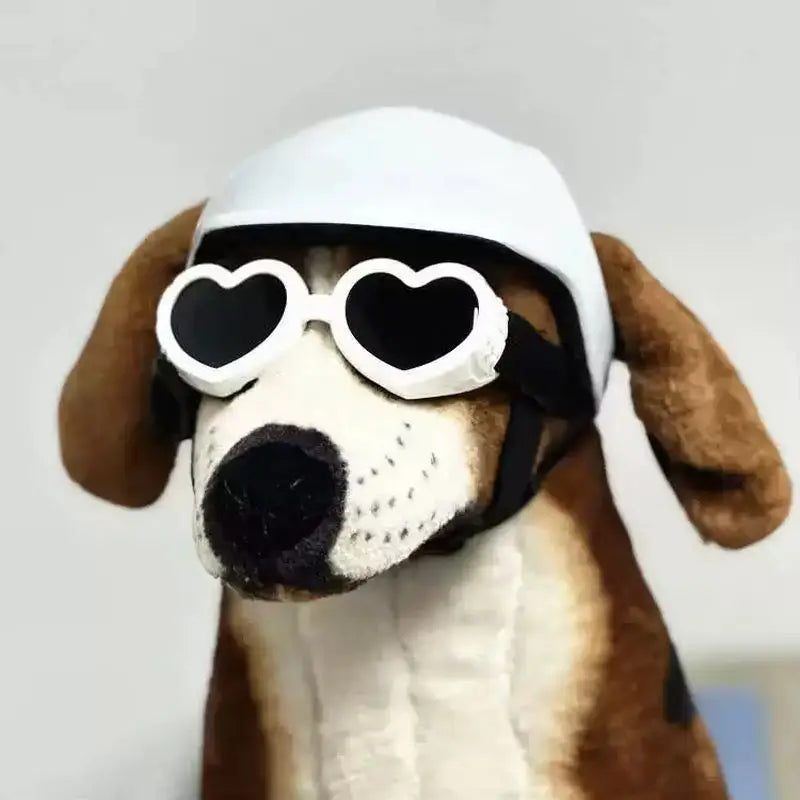 ​​CE Certified Adjustable Pet Helmet with UV Sunglasses for Dogs & Cats - Travel/Bicycle Safety Gear Lightweight Outdoor Protect