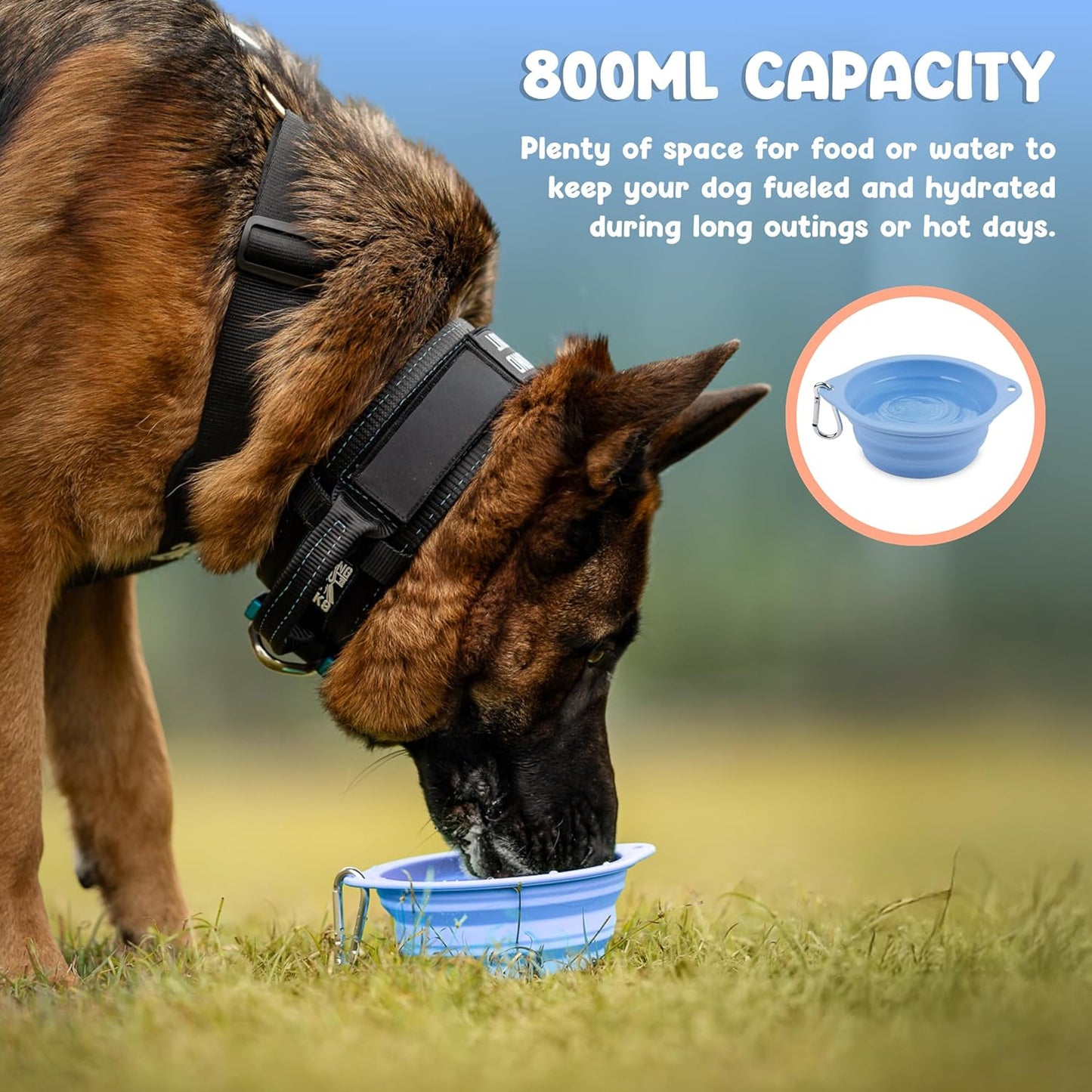 Collapsible Dog Bowl - 800Ml/27 Oz Portable Silicone Travel Water Bowl for Dogs with Carabiner | Foldable, Dishwasher Safe | Hiking, Camping Dog Essentials & Outdoor Pet Feeding - Blue