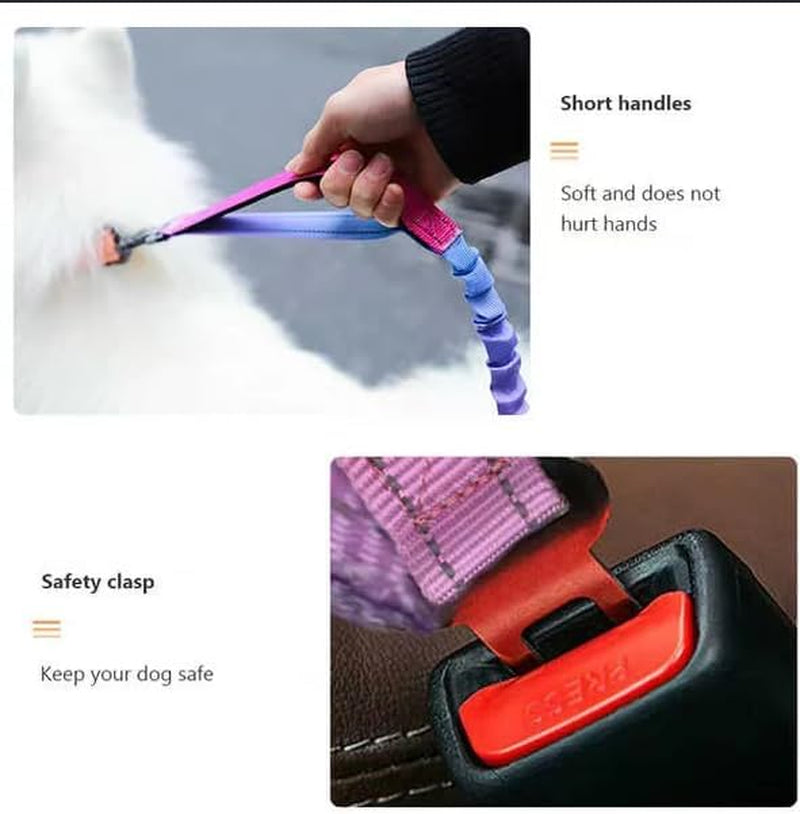 Hands-Free Reflective Dog Leash with Bungee, Seatbelt Clip & Smart ID Tag (QR + NFC) – Durable Multifunction Pet Leash for Walking, Running, Travel & Outdoor Use – Blue Pink Gradient