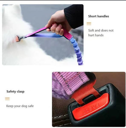 Hands-Free Reflective Dog Leash with Bungee, Seatbelt Clip & Smart ID Tag (QR + NFC) – Durable Multifunction Pet Leash for Walking, Running, Travel & Outdoor Use – Blue Pink Gradient