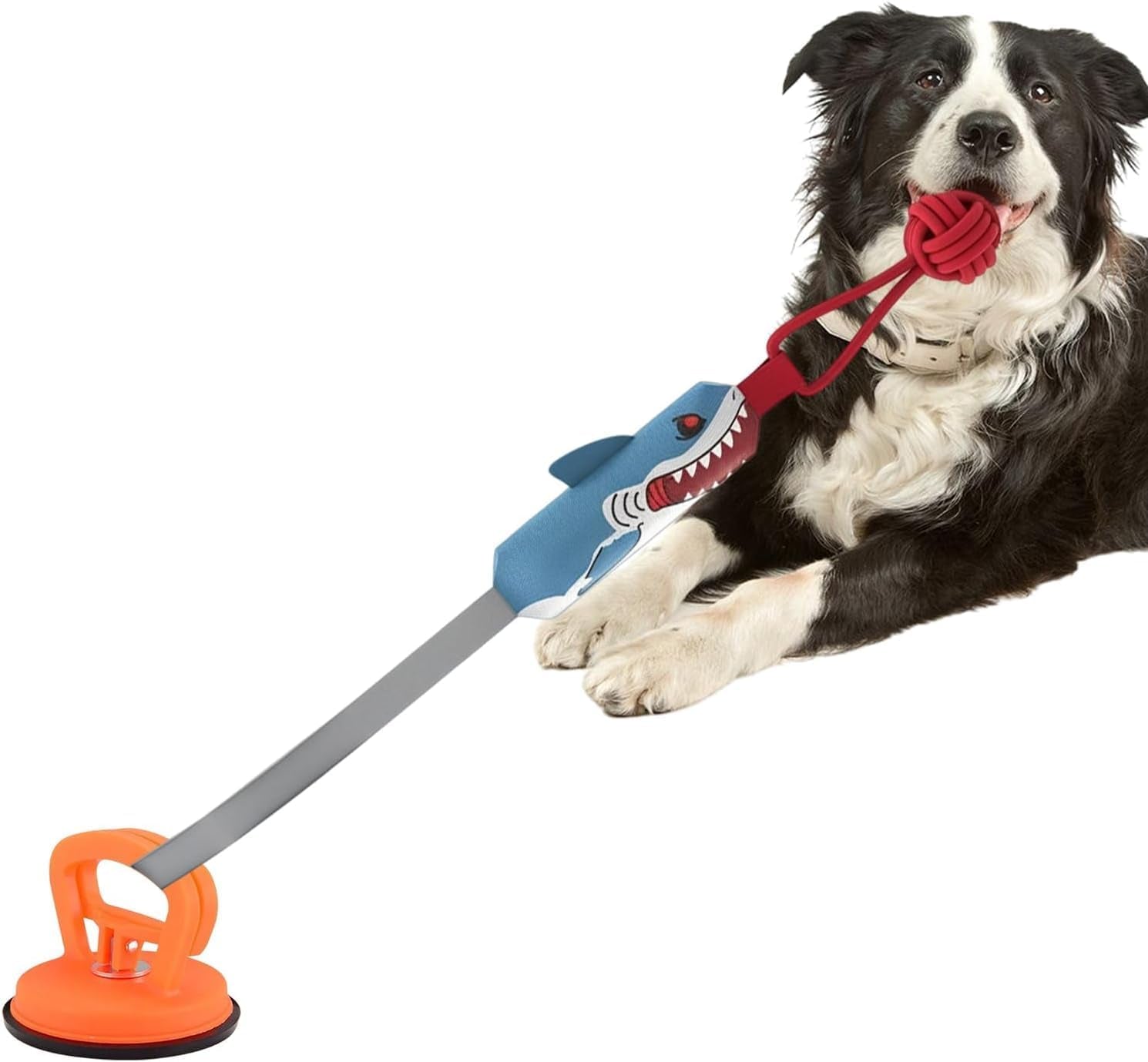 Suction Cup Tug of War Dog Toy, Interactive Dog Tug Toy, Suction Cup Squeaky Teething Pet Chewers, Dog Toys to Keep Them Busy - for Teeth Cleaning Boredom Relief Indoor Outdoor Play (Blue)