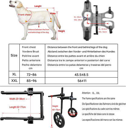 Foldable and Adjustable Two-Wheeled Wheelchair for Pets,Dog Wheelchair for Large and Medium Dogs,Rehabilitation of the Hind Limbs of Pets,Grey,Xl | Rehabilitation of the Hind Limbs of Pets, Stroller for Pets, Support Hind Legs