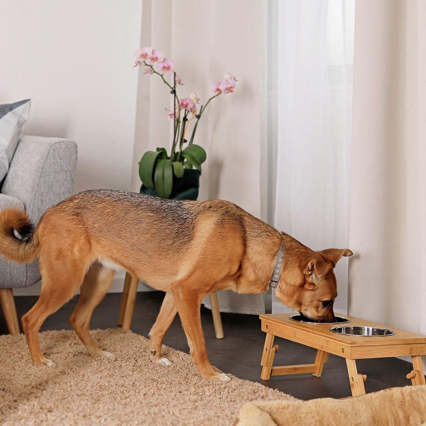 Dog Bowl Height Adjustable Feeding Station Feeding Bar Raised Bowl Rack for Pets Made of Bamboo