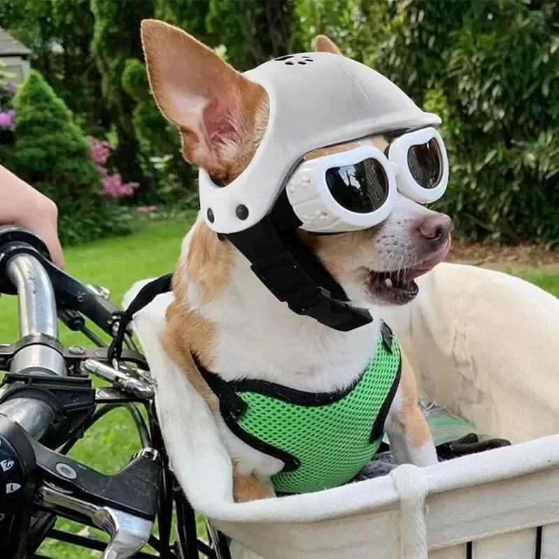 ​​CE Certified Adjustable Pet Helmet with UV Sunglasses for Dogs & Cats - Travel/Bicycle Safety Gear Lightweight Outdoor Protect