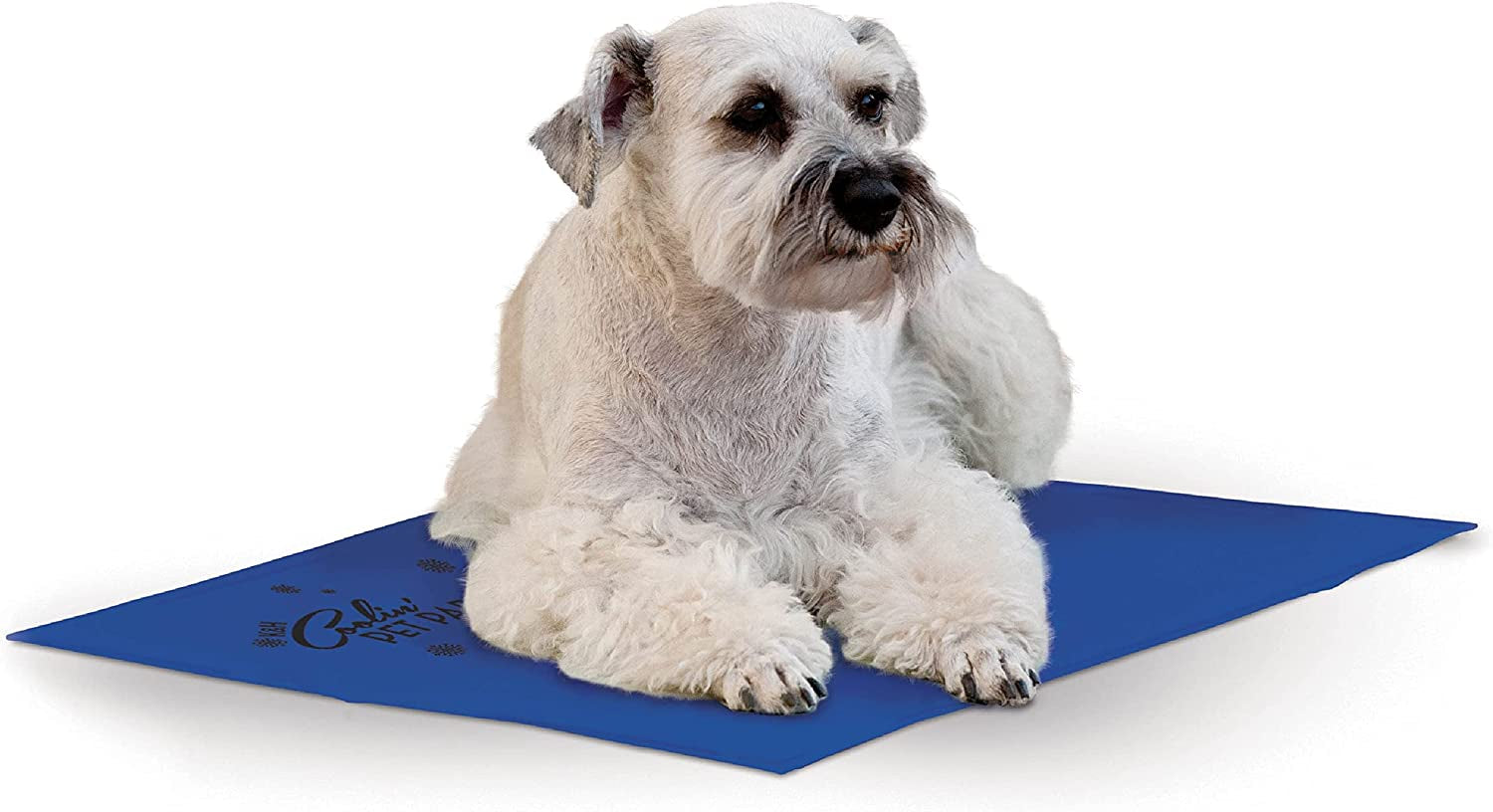 Coolin' Pet Pad Dog Mat, Portable Dog Cooling Mat for Travel or in Home, Perfect for Carriers, Crates, Outdoor Houses, Yards, Porches, Pet Beds & More - Medium 20 X 15In Chill Blue