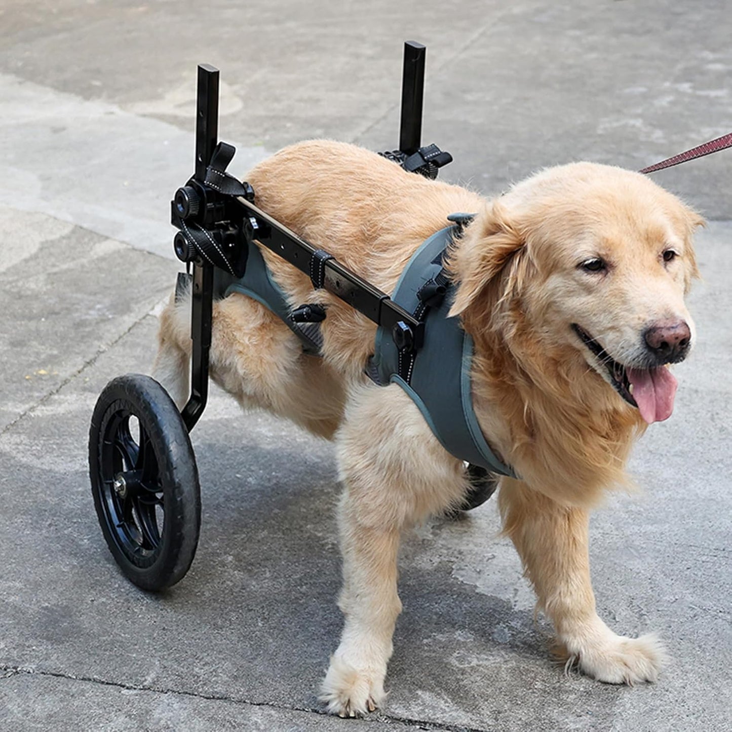 Foldable and Adjustable Two-Wheeled Wheelchair for Pets,Dog Wheelchair for Large and Medium Dogs,Rehabilitation of the Hind Limbs of Pets,Grey,Xl | Rehabilitation of the Hind Limbs of Pets, Stroller for Pets, Support Hind Legs