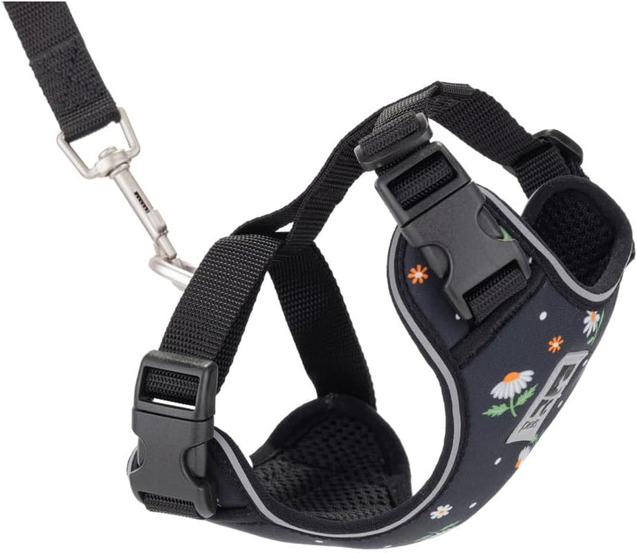 RC Pets Adventure Kitty Cat Harness | Adjustable Airmesh Vest with D-Ring and 6Ft Leash for Walking and Travel | Daisies, Medium