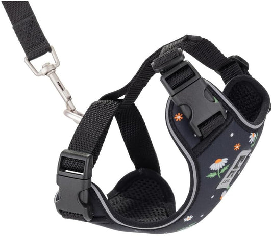 RC Pets Adventure Kitty Cat Harness | Adjustable Airmesh Vest with D-Ring and 6Ft Leash for Walking and Travel | Daisies, Medium
