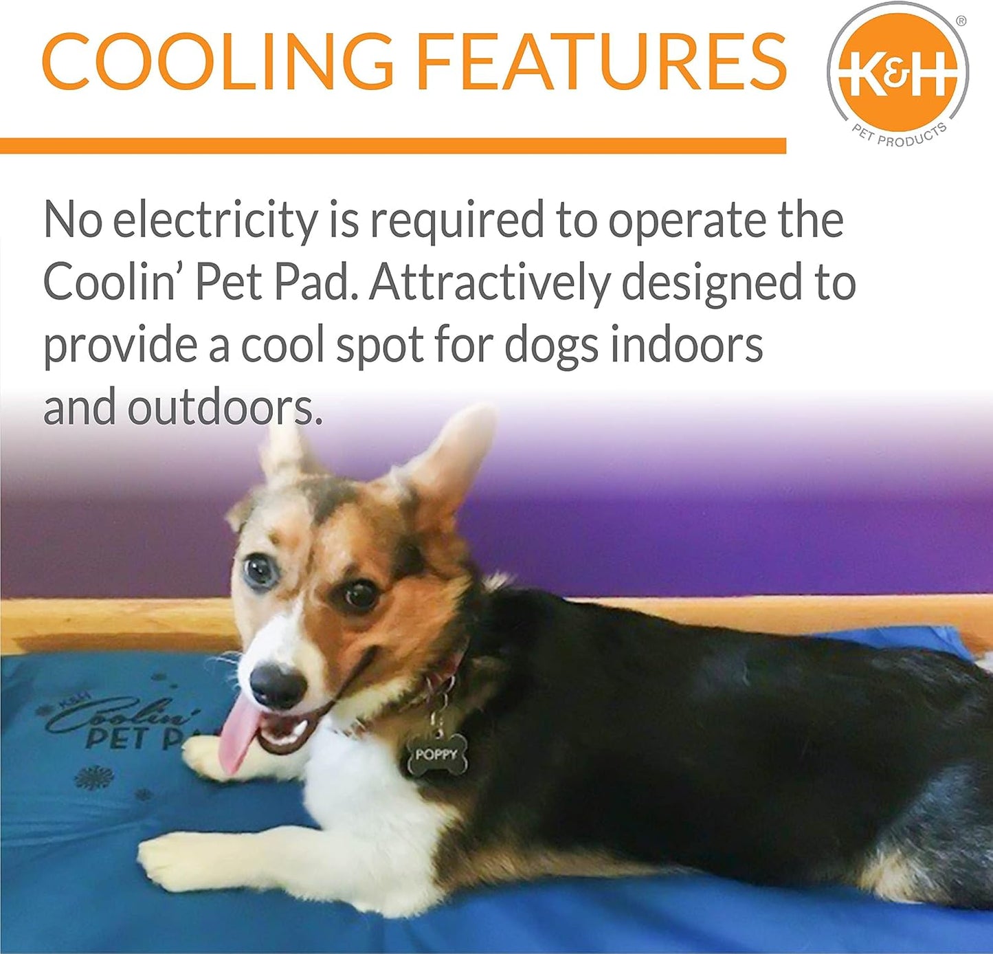Coolin' Pet Pad Dog Mat, Portable Dog Cooling Mat for Travel or in Home, Perfect for Carriers, Crates, Outdoor Houses, Yards, Porches, Pet Beds & More - Medium 20 X 15In Chill Blue