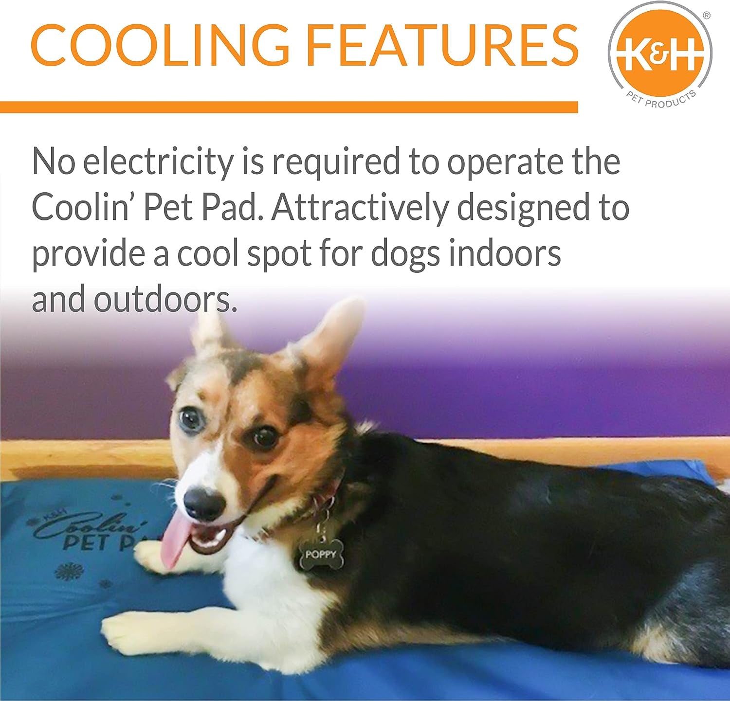 Coolin' Pet Pad Dog Mat, Portable Dog Cooling Mat for Travel or in Home, Perfect for Carriers, Crates, Outdoor Houses, Yards, Porches, Pet Beds & More - Medium 20 X 15In Chill Blue