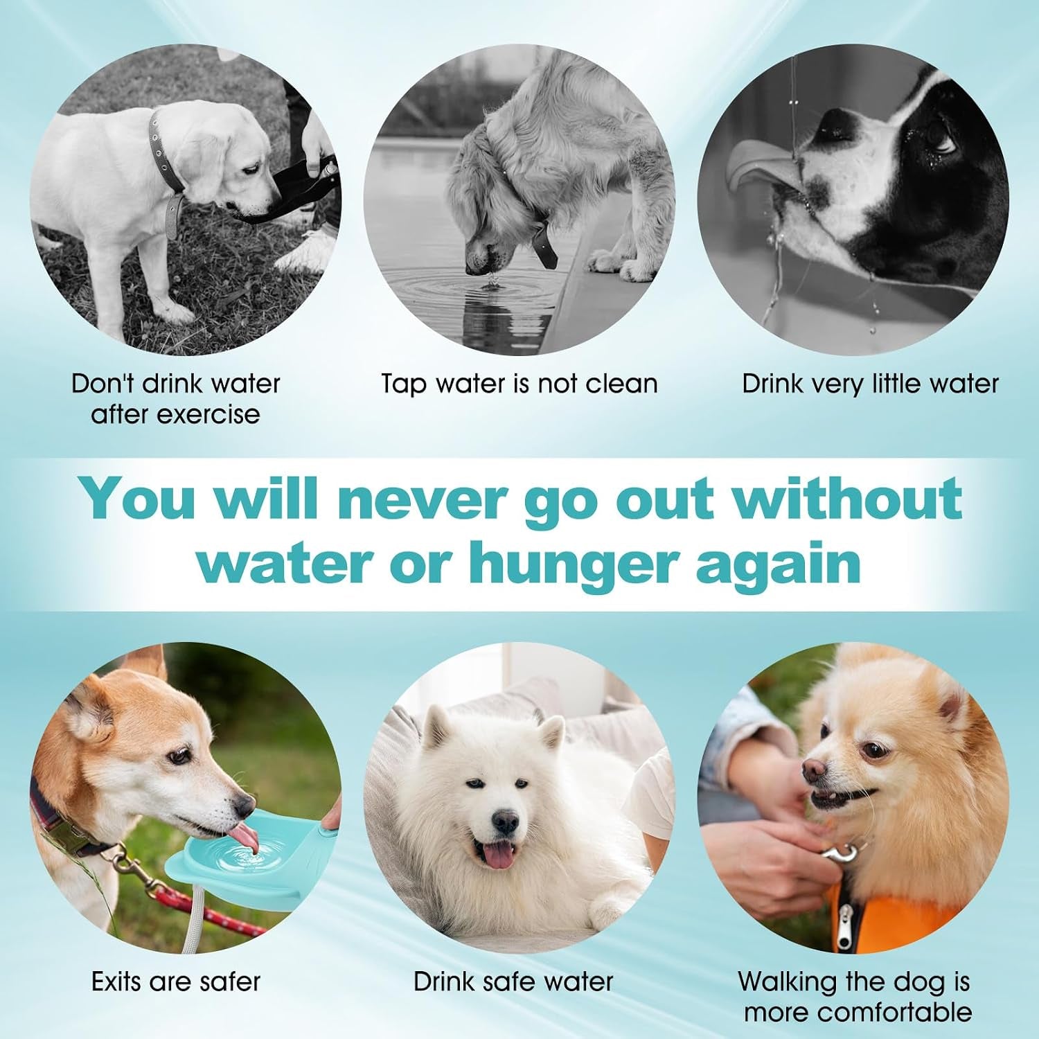 Portable Dogs Water Bottle with Food Storage Container, Leakproof Travel Pets Drinking Water Dispenser Feeder for Outdoor Dog Stuff Accessories Items for Cats, Puppy,For Walking, Hiking (Blue, 350Ml)