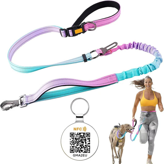 Hands-Free Reflective Dog Leash with Bungee, Seatbelt Clip & Smart ID Tag (QR + NFC) – Durable Multifunction Pet Leash for Walking, Running, Travel & Outdoor Use – Blue Pink Gradient