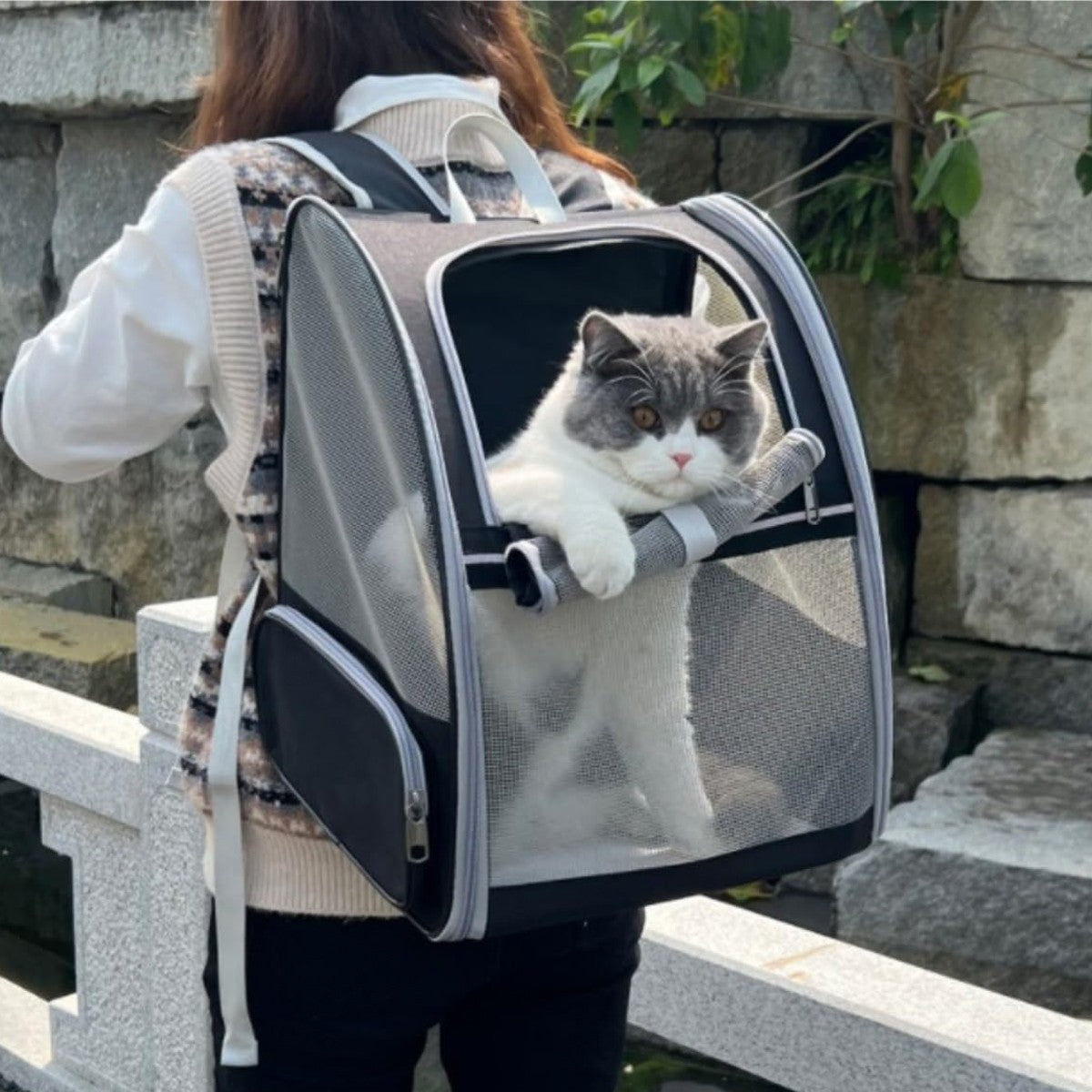Large Foldable Pet Carrier Breathable Outdoor Shoulder Dog Cat Travel Backpack