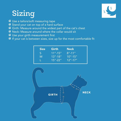 RC Pets Adventure Kitty Cat Harness | Adjustable Airmesh Vest with D-Ring and 6Ft Leash for Walking and Travel | Lil Heart, Medium
